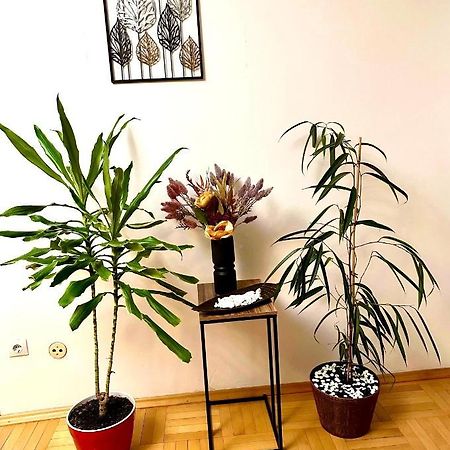 Vintage Bucharest Apartment Luaran gambar